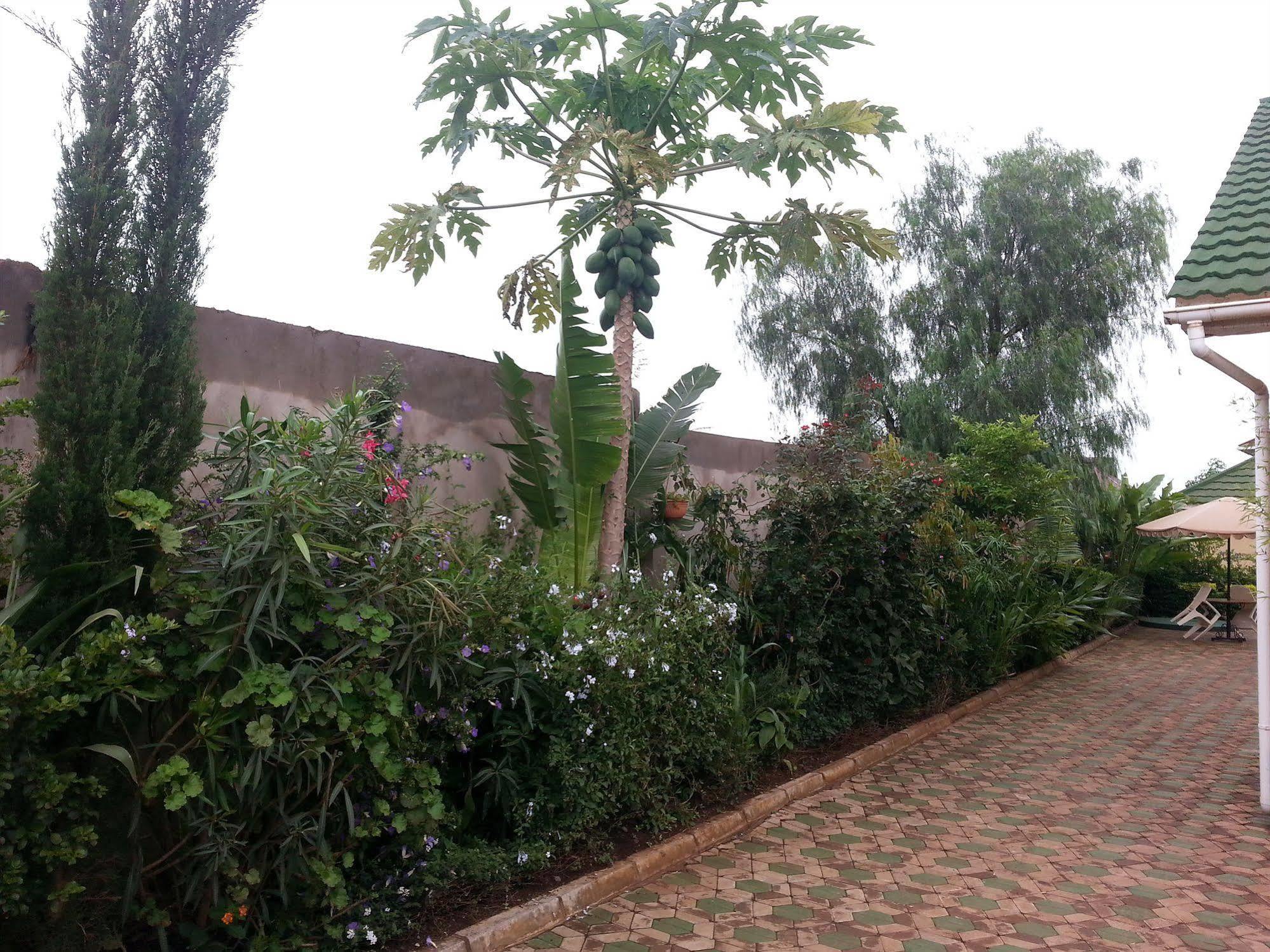 Korona House Hotel Arusha Eksteriør bilde